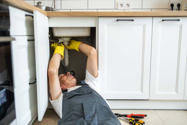 Best Plumbing Services Near Me  in Centerville, PA